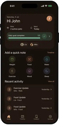 Home screen in dark mode at night